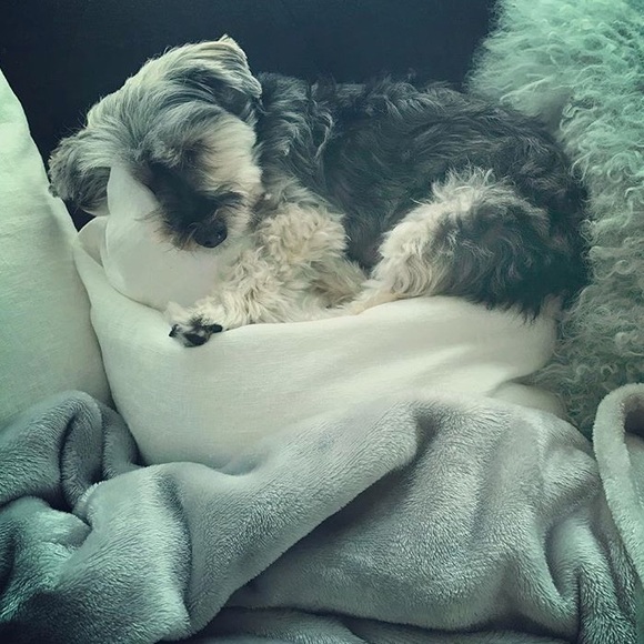 Meet Your Posher - Picture 2 of 2